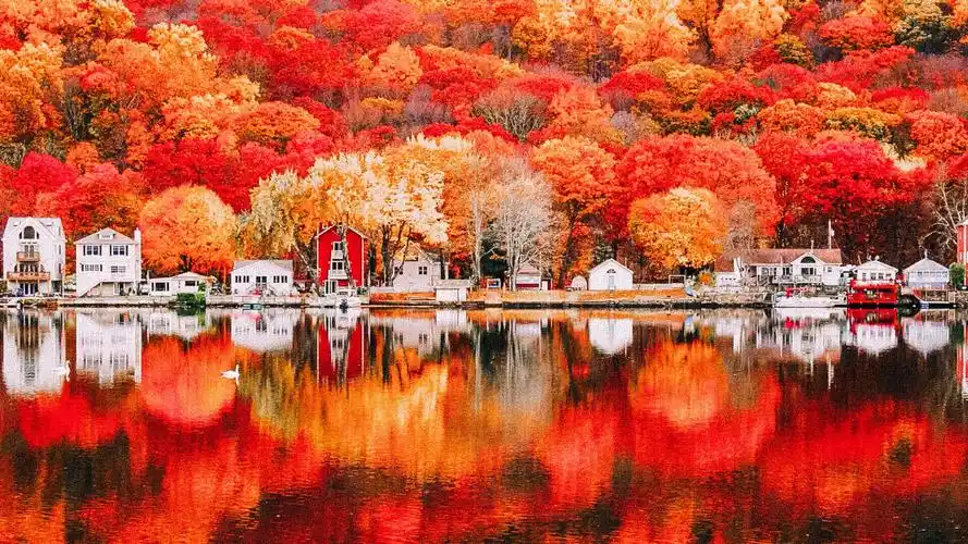 温馨暖橙色调lr预设