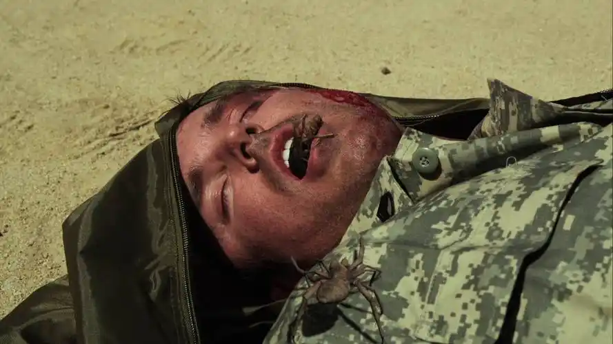 恐怖科幻食人巨蛛