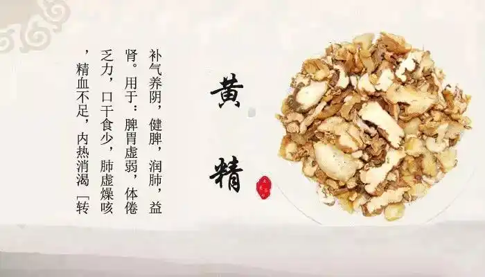 黄精的功效与作用(熟地黄的功效与作用)