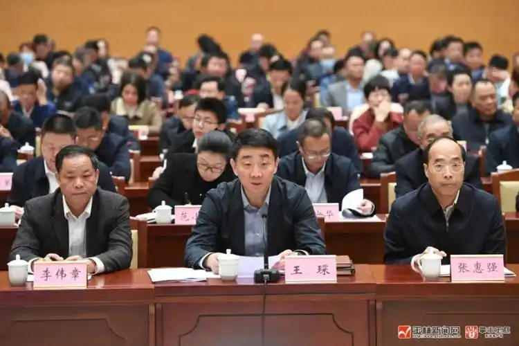 玉林传达贯彻全国两会精神王琛讲话