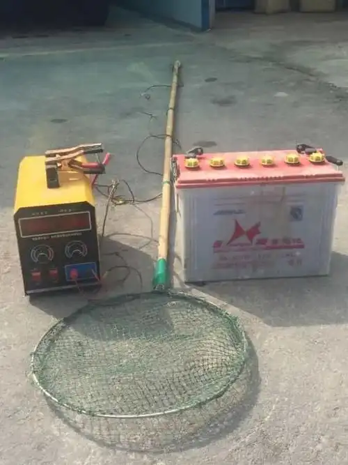 举报最高奖励2万元,快来|犯罪|地笼|渔具|网具|捕鱼_网易订阅