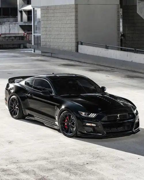 野马?车标怎么不是只马呢?