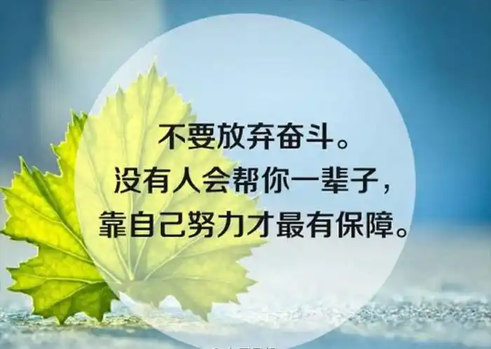 不要放弃唯美励志文字图片
