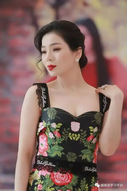 越南女歌手丽娟我还是唱伤感情歌的女子