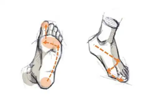 还能让很多人比较弱,平时运动不到的大腿内侧在走路过程中参与发力