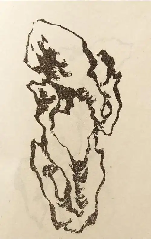 国画---好美的太湖石( 学画石素材)