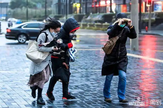 午后寒潮来袭申城大风呼啸晨镜头
