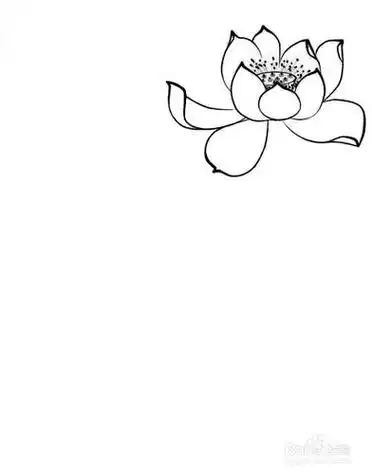 佛家莲花简笔画