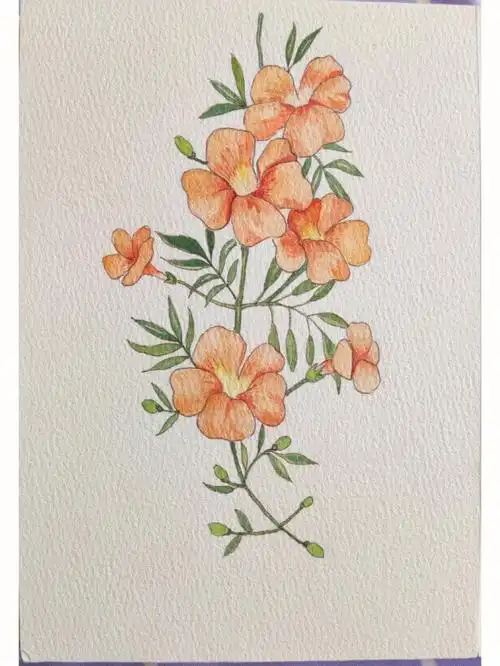 画画的日常#笔记灵感#自学水彩#水彩画#水彩凌霄花#橙色的花