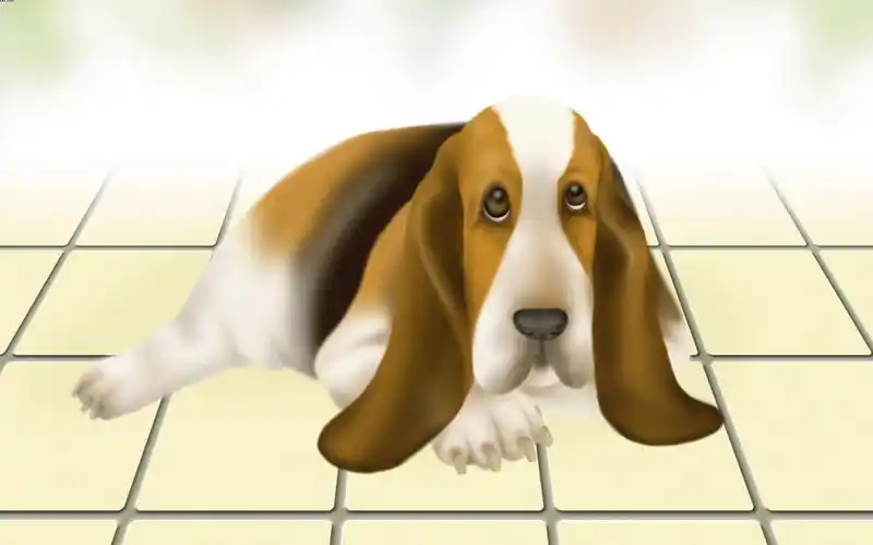 壁纸,卡通,动物,1920x1200尺寸壁纸-回车桌面