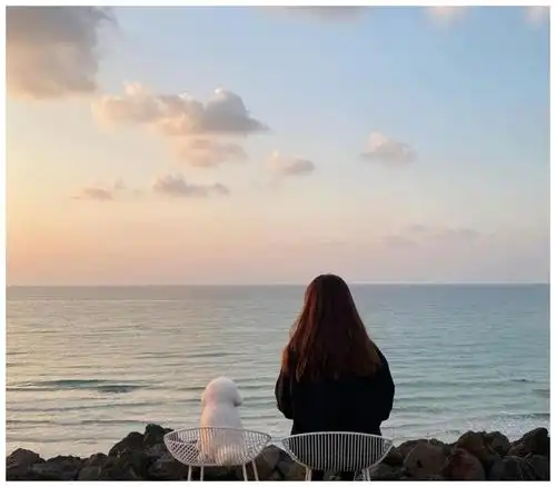 比熊犬背影超像棉花糖结果回头露出真面目直接逗笑网友