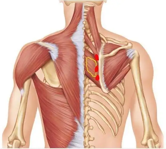 你好,颈椎病系列科普(一):哪些症状说明你得了颈椎病_颈椎病_疾病介绍