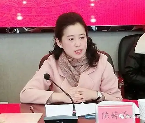 陈婷婷委员代表民建界别发言加强农产品高效智慧冷链物