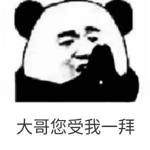 熊猫头表情包_熊猫表情