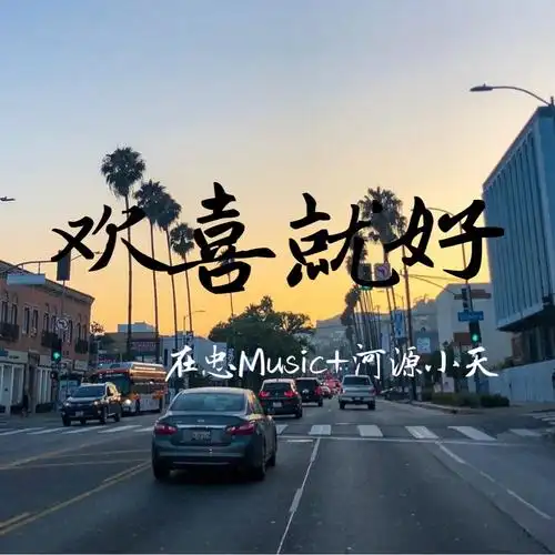 欢喜就好 (dj在忠,dj河源小天版)_陈雷__高音质在线试听_陈雷