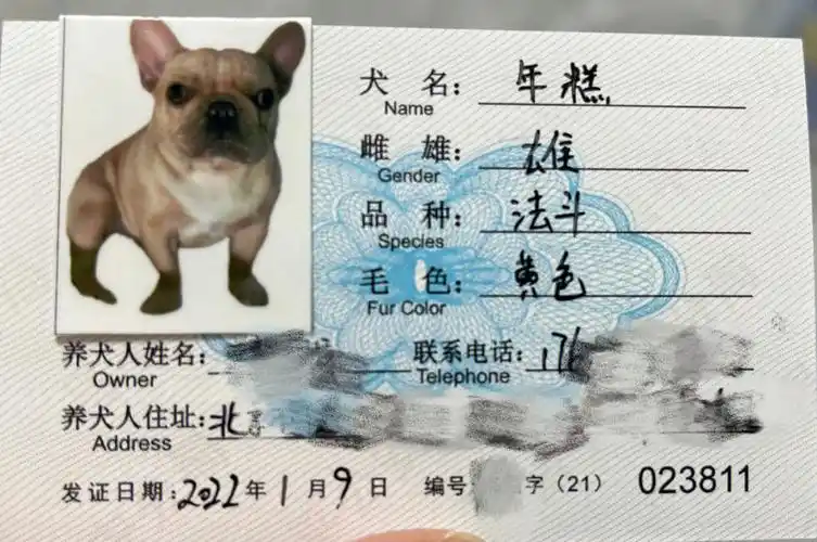 北京昌平狗证