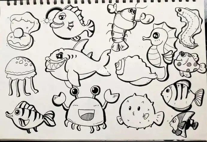 20种海洋动物简笔画