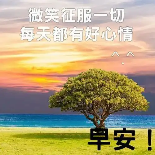 早上好图片大全问候语早上好图片带字和鲜花