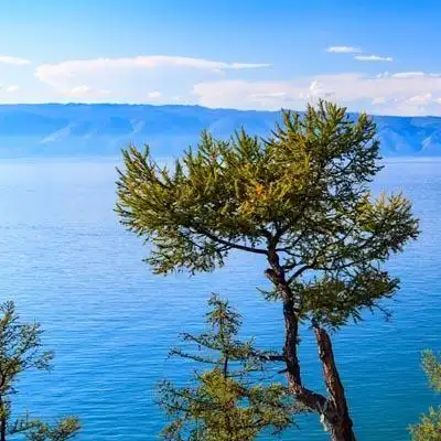 微信头像图片大全风景清新点击鼠标右键下载