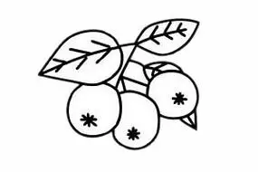 超简单山楂简笔画