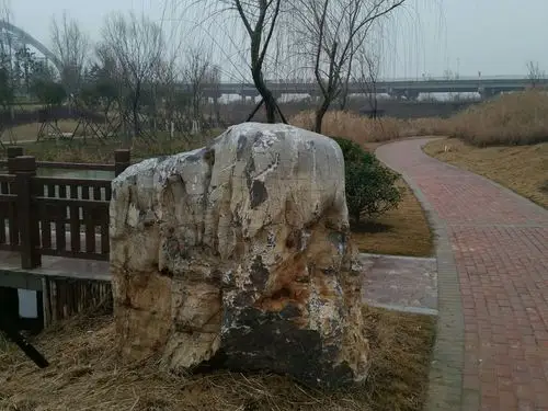 湿地公园的石头
