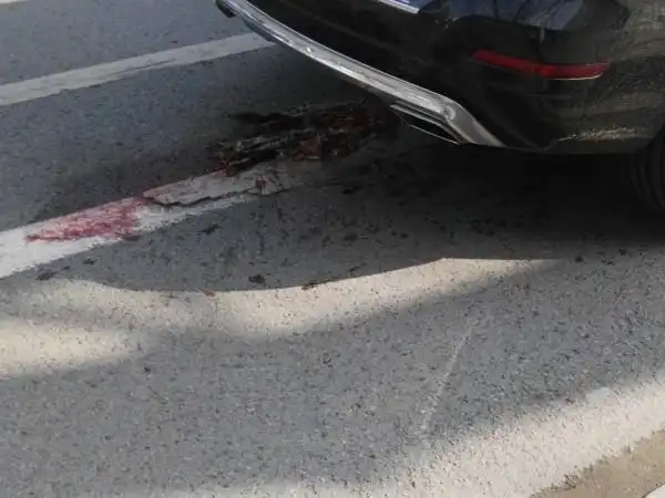 交通事故后,"遗体"被多车碾压成碎肉