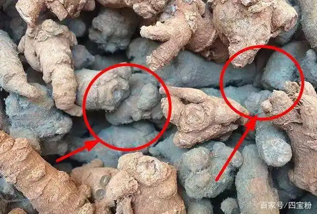 醒醒吧,为什么三七这么便宜?五个技巧教你辨别真假好三七的方法