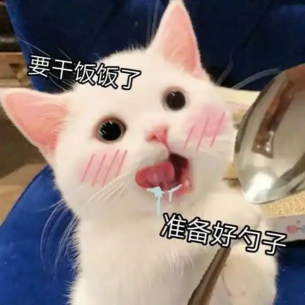 要干饭了准备好勺子猫猫表情包系列猫咪表情