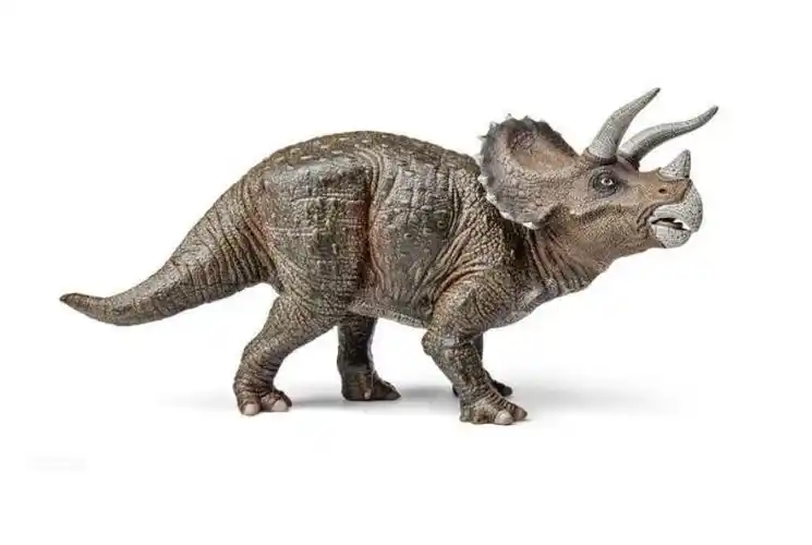 三角龙主要以什么为食