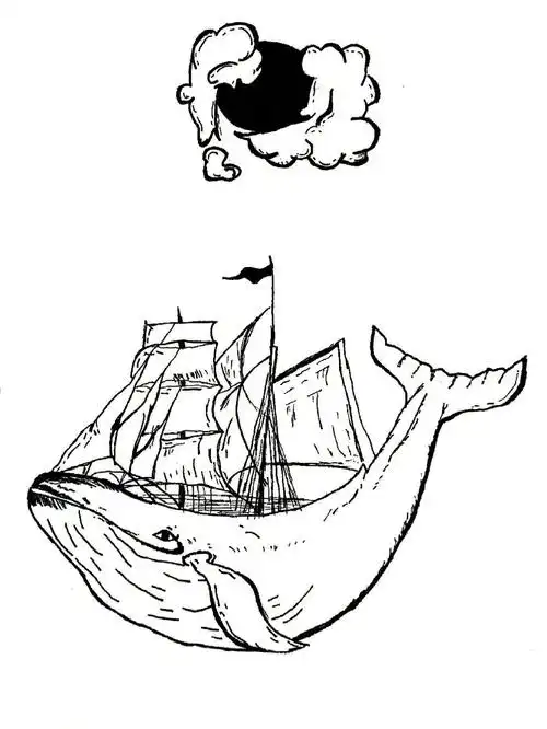 03黑白简笔画|鲸鱼