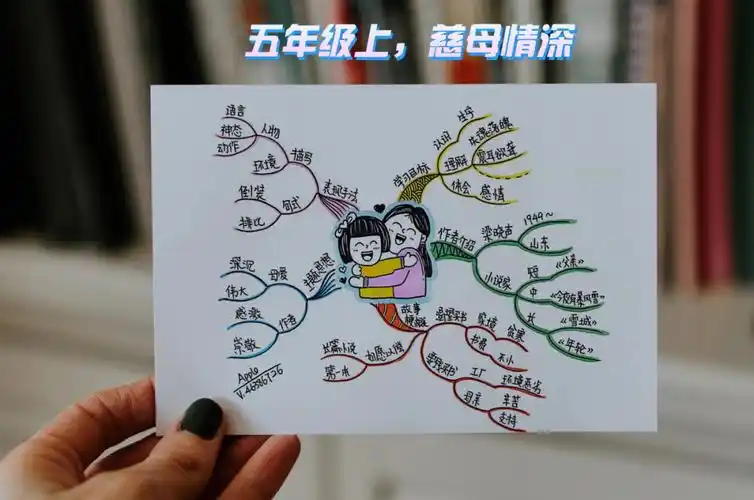 第88幅一起画课文五年级上慈母情深