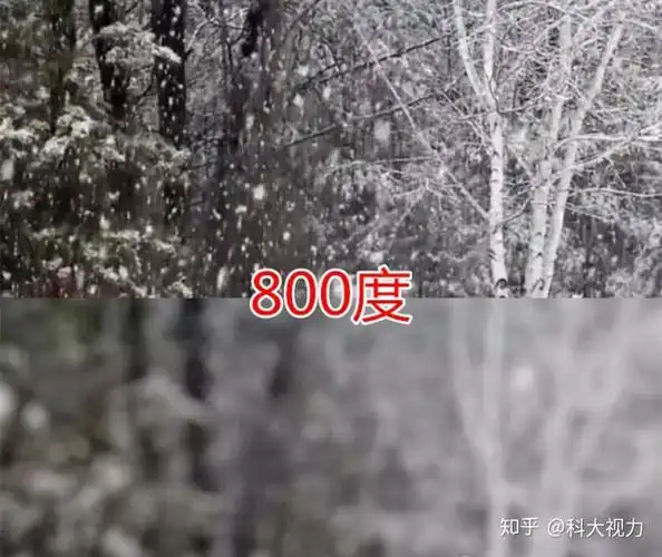 近视眼眼里的世界三百度vs五百度800度我还有救吗