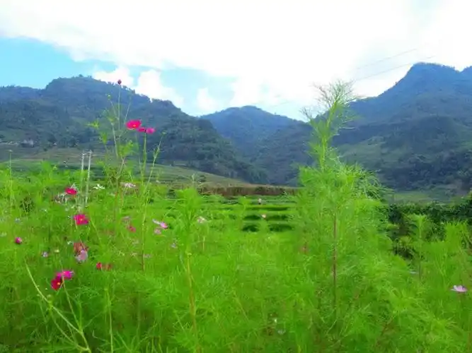 云山深处初秋第一现场实拍!最美风景线—蓝天白云空气都是甜的!