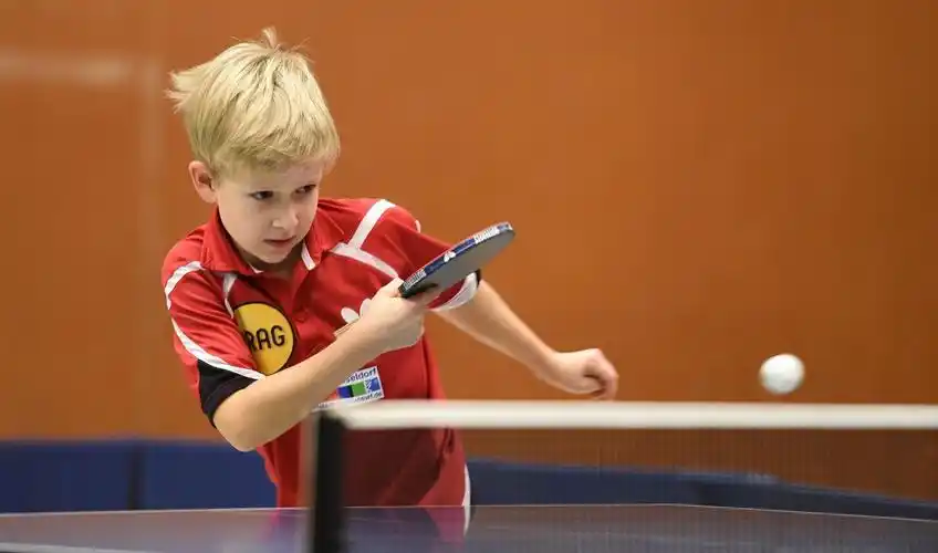 【图片8】我刚和孩子们打了一场乒乓球,遗憾没赢一局:-) . . _--蜂鸟