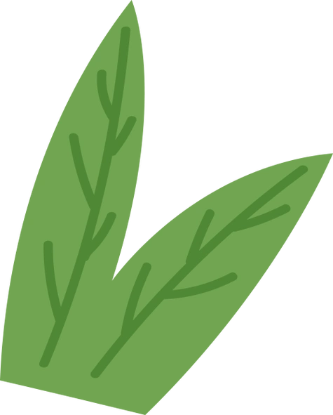 南宁竟然藏着现实版"绿野仙踪",太适合春日踏青了→_绿色_童话_光影