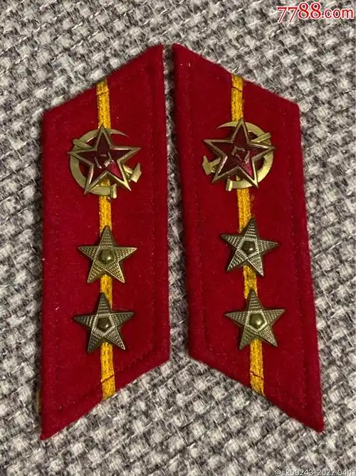 55式合成兵领章一副