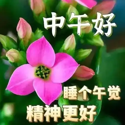 大家中午好 - 小李子 - 抖音