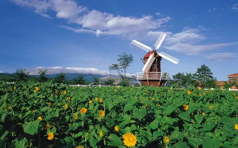 田园风光美景_风景_太平洋电脑网