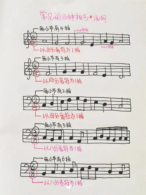 五线谱笔记基础乐理76常见的几种拍号