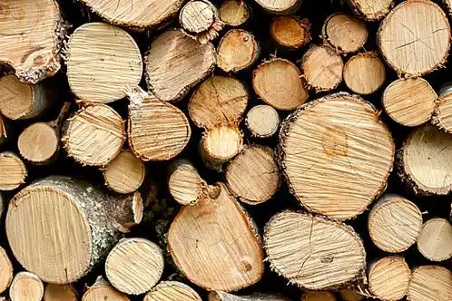 原木纹理图片_原木纹理图片大全_原木纹理图片素材