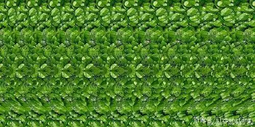 学习看看三d图片 你能看出里面是什么吗?