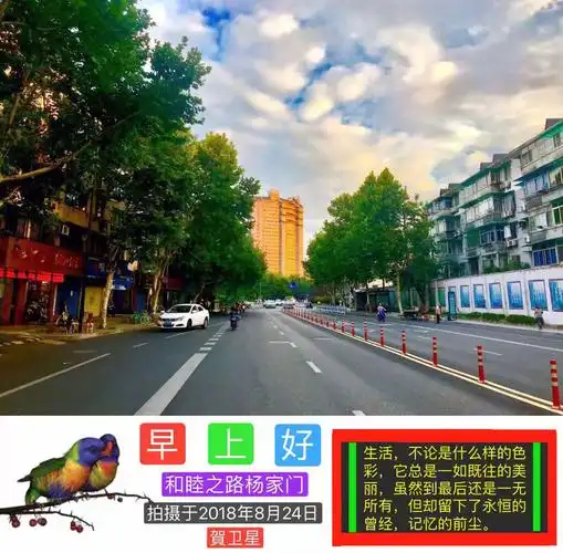 100张早上好问候图片分享(4)