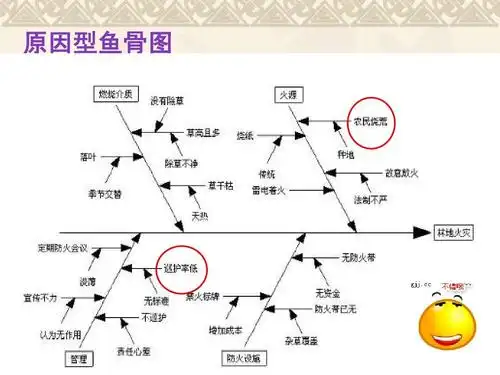 鱼骨图分析法及其临床应用ppt