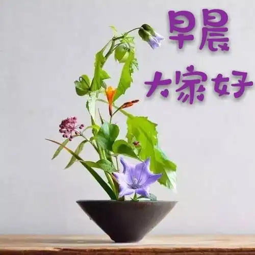 大家早上好图片