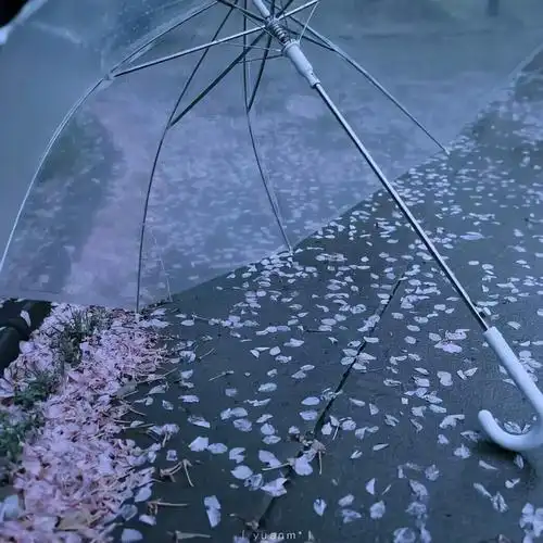 高级感qq封面背景图