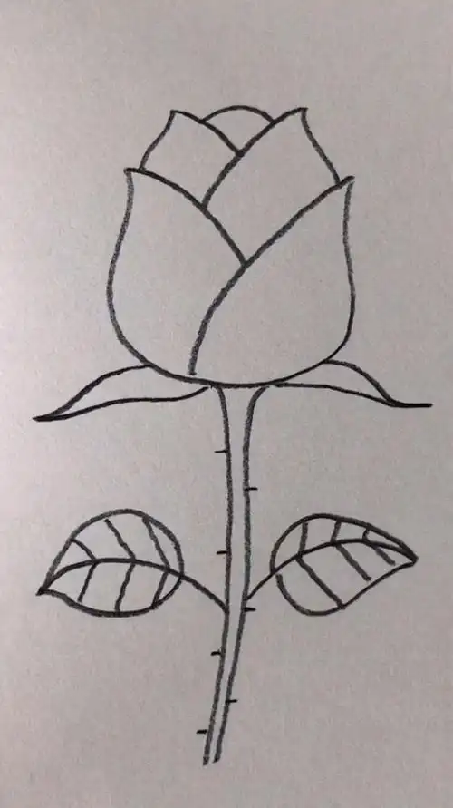 铅笔画;简简单单画朵玫瑰