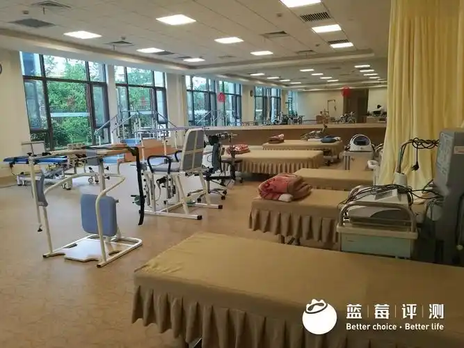 蓝莓评测20202021最佳高端养老机构上海