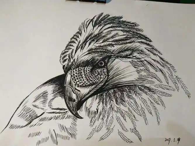 高级线描上课内容精彩选集