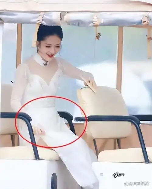 谢娜带着她的三个女儿去玩耍,她腹部隆起,引发怀孕三胎的猜测