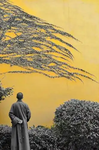 杭州下山看展旧友出家他出家前的最后几张照__________陈十四/媒倘怂